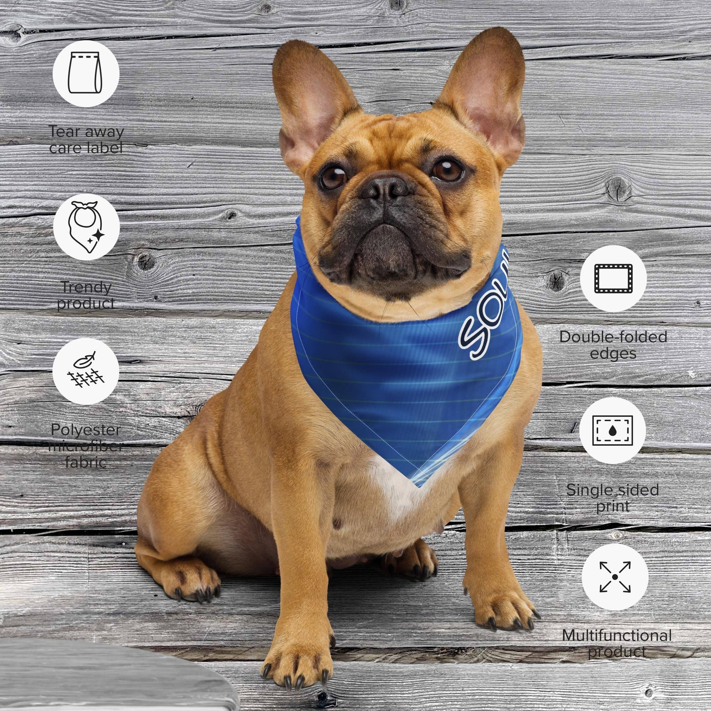 Foulard blu per animaletti e loro umani