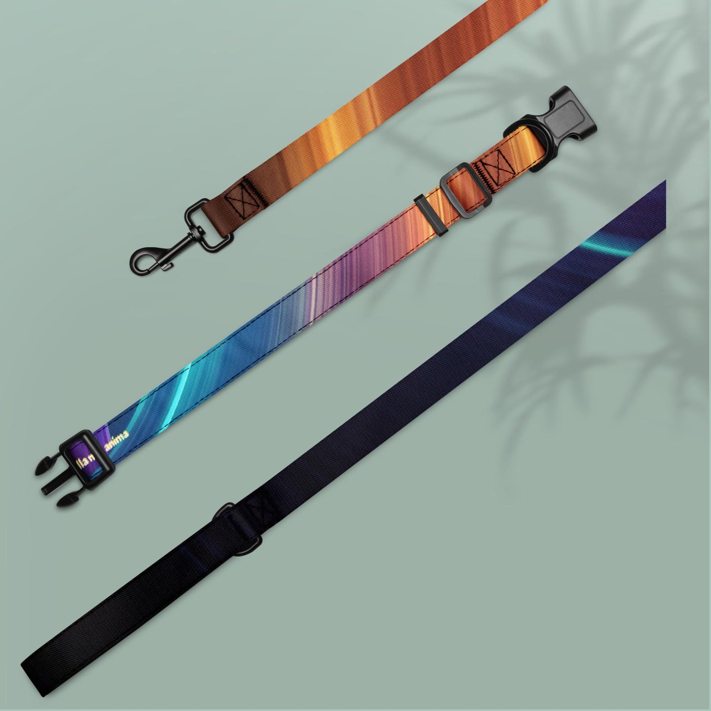 Collare e guinzaglio per animali domestici Nero