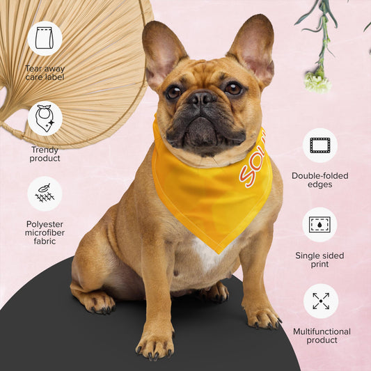Foulard giallo per animaletti e loro umani