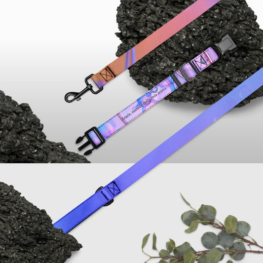 Collare e guinzaglio per animali domestici Lilla